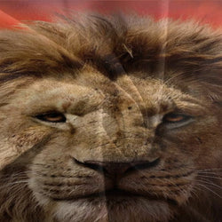 Mufasa The Lion King Bedding Set Quilt Cover Without Filler (Online Order Only)