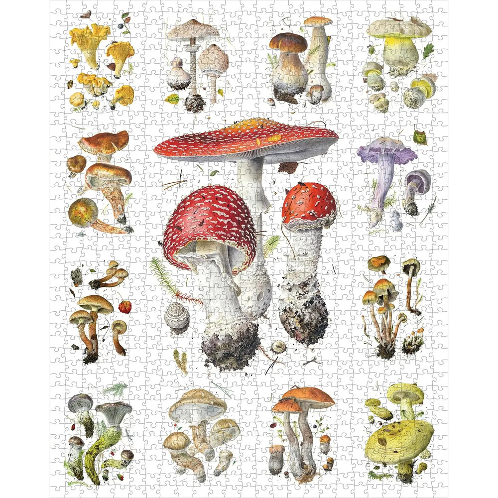 Mushrooms 1000 Piece Jigsaw Puzzle Pomegranate (ONLINE ORDER ONLY)