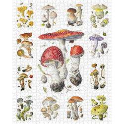 Mushrooms 1000 Piece Jigsaw Puzzle Pomegranate (ONLINE ORDER ONLY)