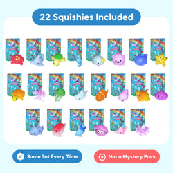 Mystery Squishies (ONLINE ORDER ONLY)