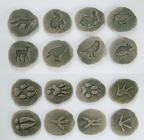 Animals & Footprints: Woodland Sensory Stones Set (ONLINE ORDER ONLY)