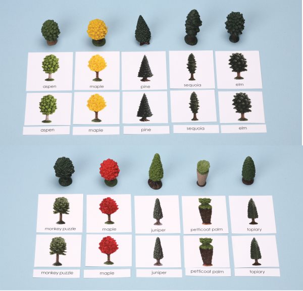 Trees Miniatures with 3-Part Laminated Cards (ONLINE ORDER ONLY)