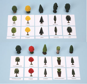 Trees Miniatures with 3-Part Laminated Cards (ONLINE ORDER ONLY)