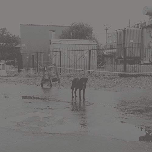 After its own death / Walking in a spiral towards the house [Vinyl]
