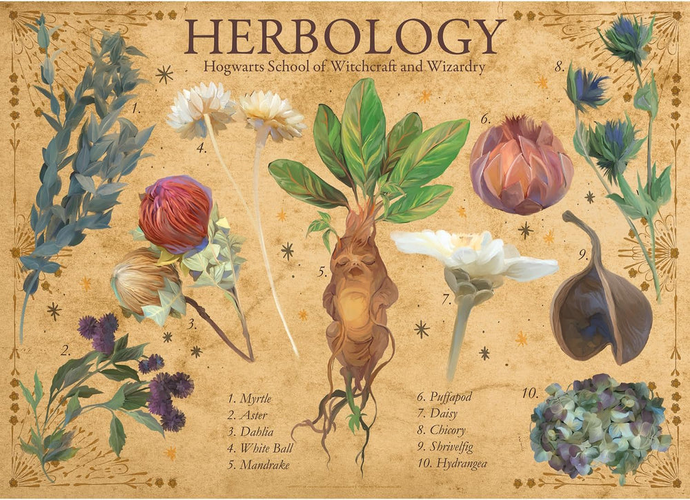 Aquarius Puzzles: Harry Potter - Herbology