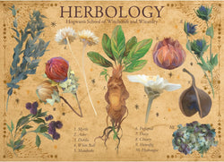 Aquarius Puzzles: Harry Potter - Herbology