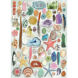 Natural Curiosities 1000 Piece Jigsaw Puzzle Gibsons (ONLINE ORDER ONLY)