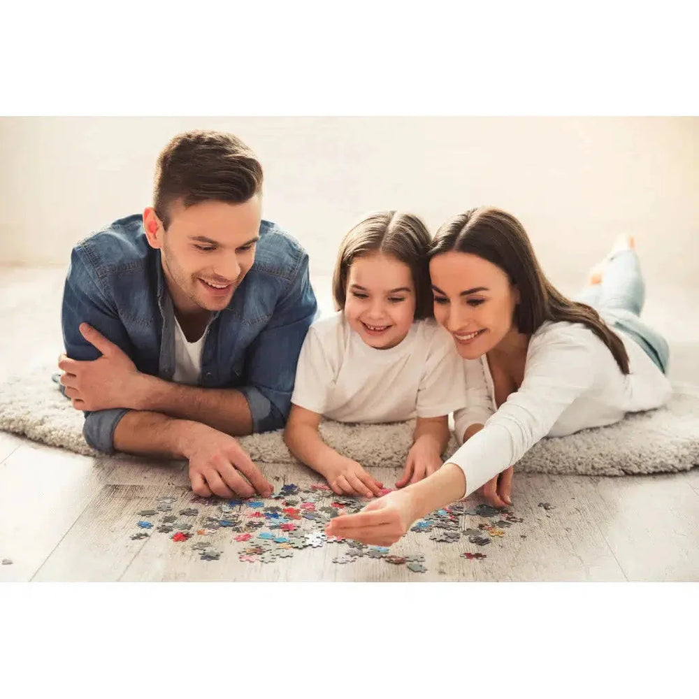 New York City Metropuzzle 1000 Piece Jigsaw Puzzle Geotoys (ONLINE ORDER ONLY)