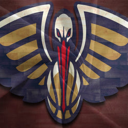 New Orleans Pelicans Bedding Set Duvet Cover Without Filler (Online Order Only)