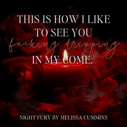 Night Fury Paperback (Online Order Only) (ONLINE ORDER ONLY)