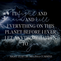 Night Fury Paperback (Online Order Only) (ONLINE ORDER ONLY)
