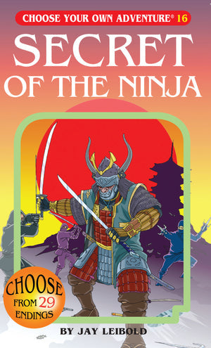 Choose Your Own Adventure: 16 Secret of the Ninja