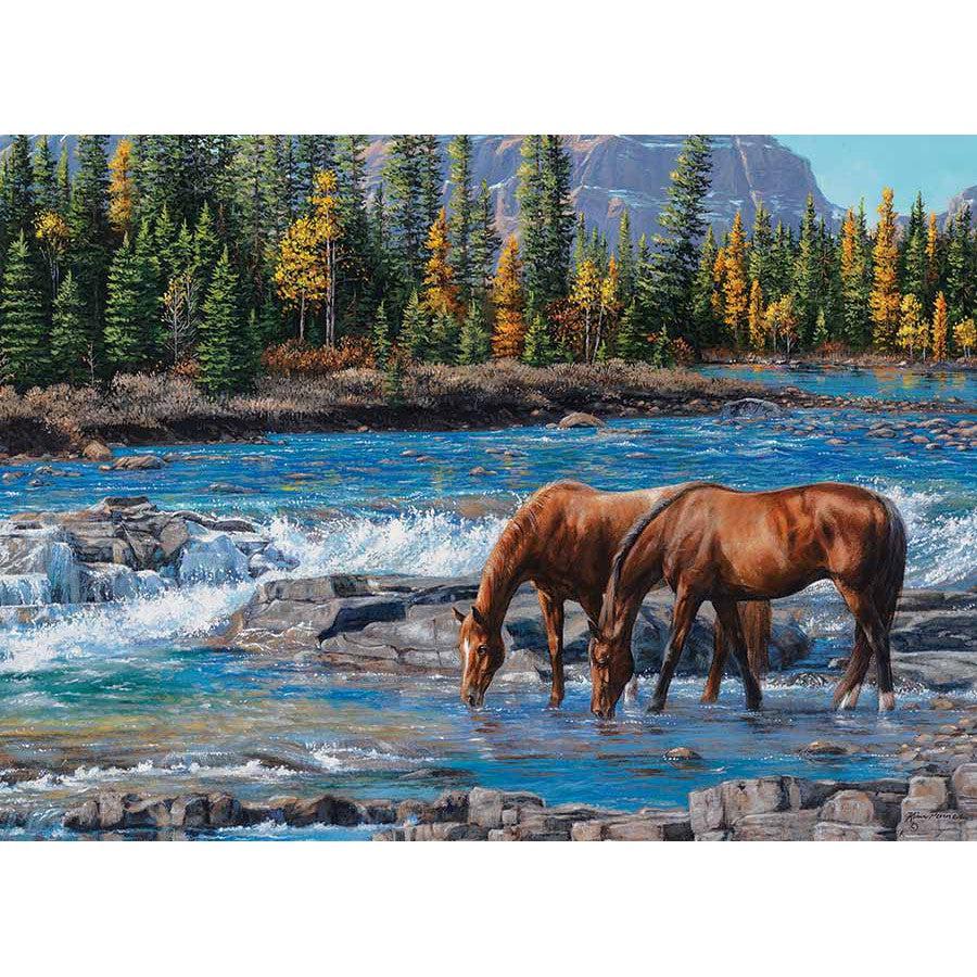 On the Rocks 1000 Piece Jigsaw Puzzle Cobble Hill (ONLINE ORDER ONLY)