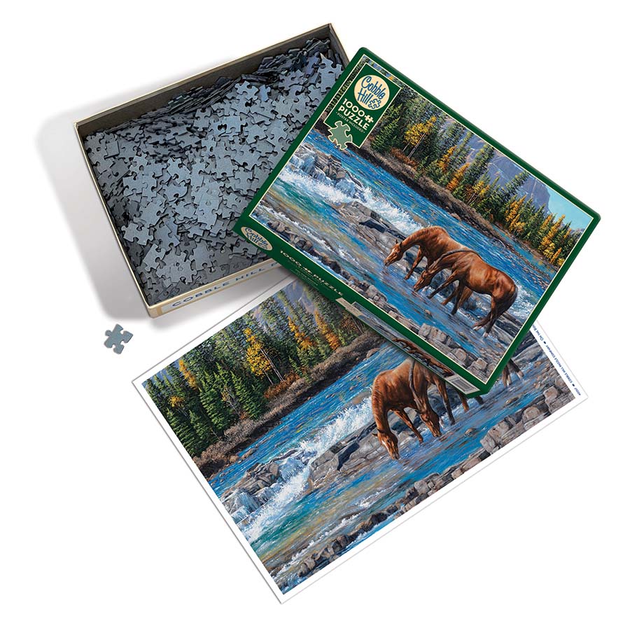 On the Rocks 1000 Piece Jigsaw Puzzle Cobble Hill (ONLINE ORDER ONLY)