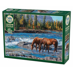 On the Rocks 1000 Piece Jigsaw Puzzle Cobble Hill (ONLINE ORDER ONLY)