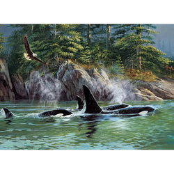 Orcas 1000 Piece Jigsaw Puzzle Cobble Hill (ONLINE ORDER ONLY)