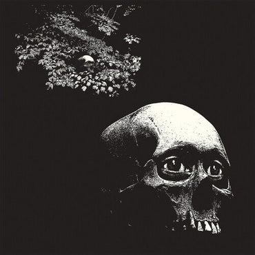 A Foul Form [Vinyl]