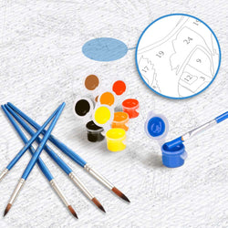 Alaskan Night Sky - Paint By Numbers Kit