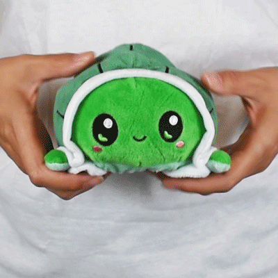 TeeTurtle Reversible Turtle: Worried/Green (Mini) (ONLINE ORDER ONLY)