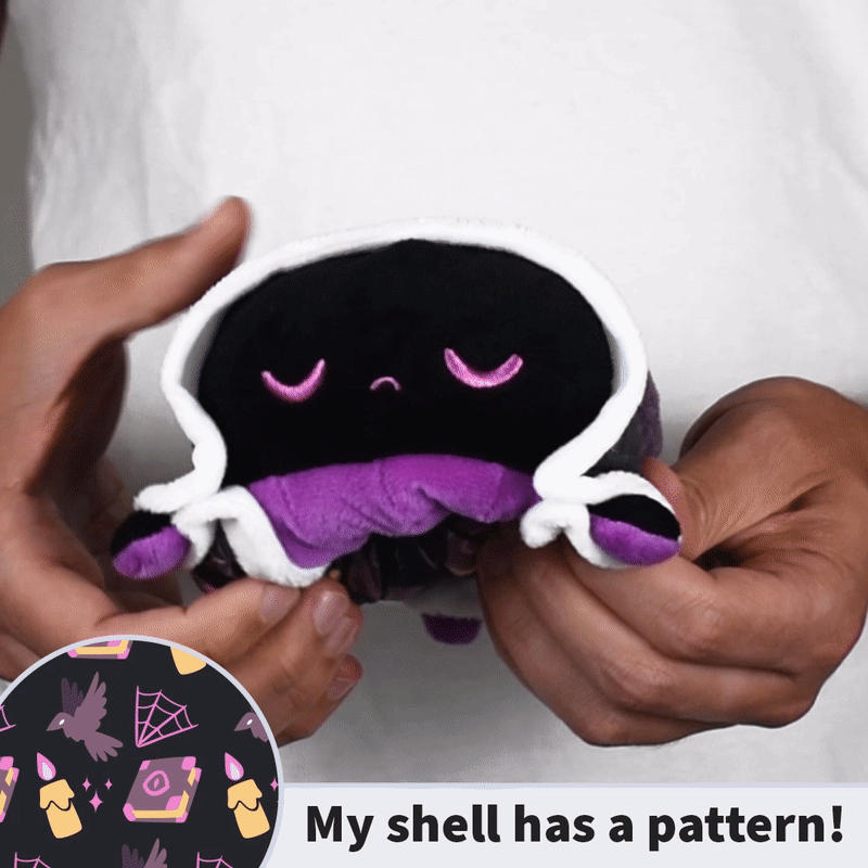 TeeTurtle Reversible Turtle: Witchcrafts Shell/Purple (Mini) (ONLINE ORDER ONLY)