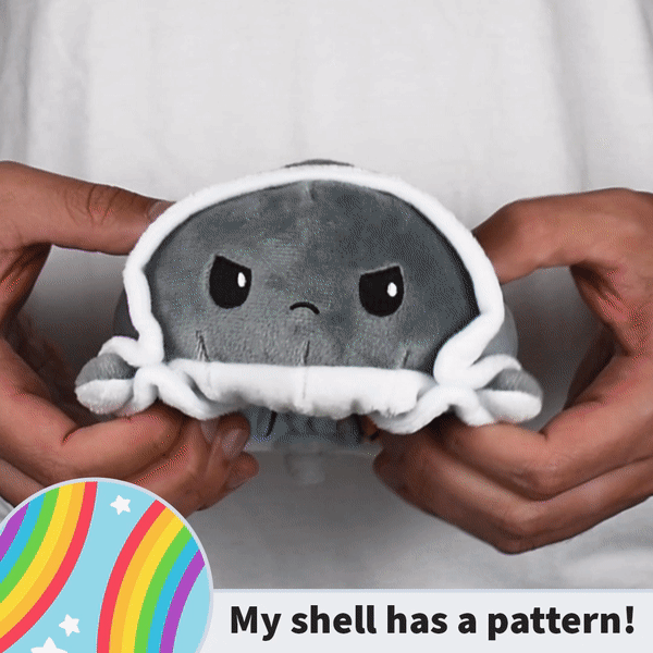 TeeTurtle Reversible Turtle: Rainbow/Storm Clouds (Mini) (ONLINE ORDER ONLY)
