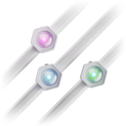 Smart Multicolor Permanent Outdoor Lights Expansion Pack with Cable Covers