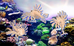 PUZ1299 Lion Fish Large 3D Puzzle by Puzzled Inc (ONLINE ORDER ONLY)