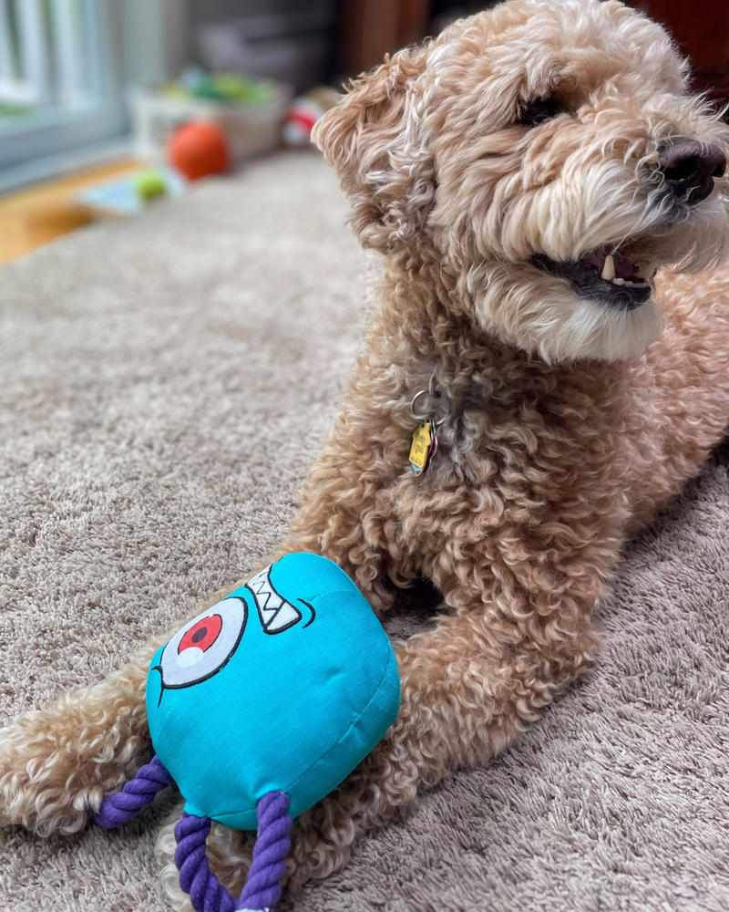 Paw-lymorph Dog Toy: The BeSlobber (ONLINE ORDER ONLY)