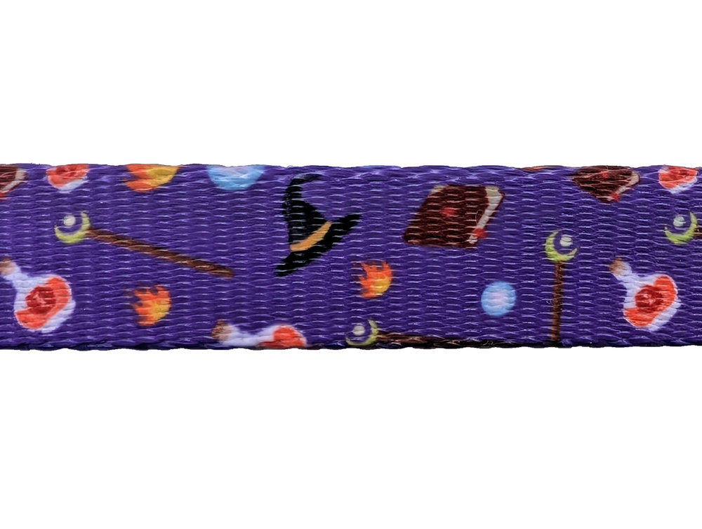 Paw-lymorph Dog Collar: Wizard (ONLINE ORDER ONLY)