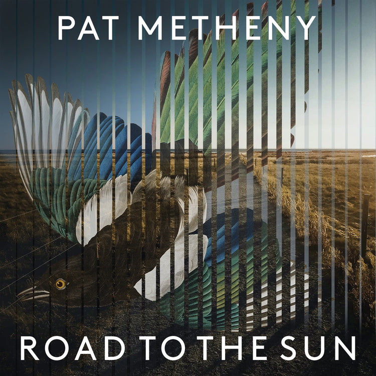 Road to the Sun (Limited Deluxe Boxset)   [Vinyl]