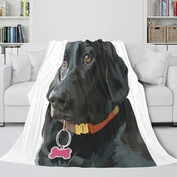 Pet Puppy Dog Flannel Blanket Room Decoration (Online Order Only)