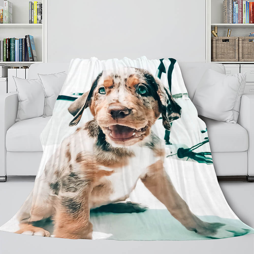 Pet Puppy Dog Flannel Blanket Room Decoration (Online Order Only)