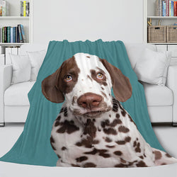 Pet Puppy Dog Flannel Blanket Room Decoration (Online Order Only)