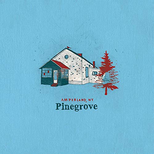 Pinegrove - Amperland, NY [Vinyl] (ONLINE ORDER ONLY)