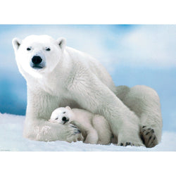 Polar Bear & Baby 1000 Piece Jigsaw Puzzle Eurographics (ONLINE ORDER ONLY)