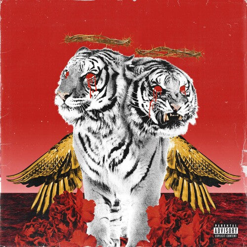 New Levels New Devils [Vinyl]
