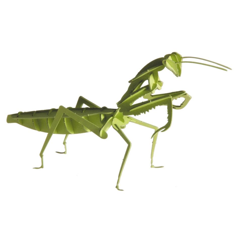 Praying Mantis 3D Cardboard Model Kit Fridolin (ONLINE ORDER ONLY)