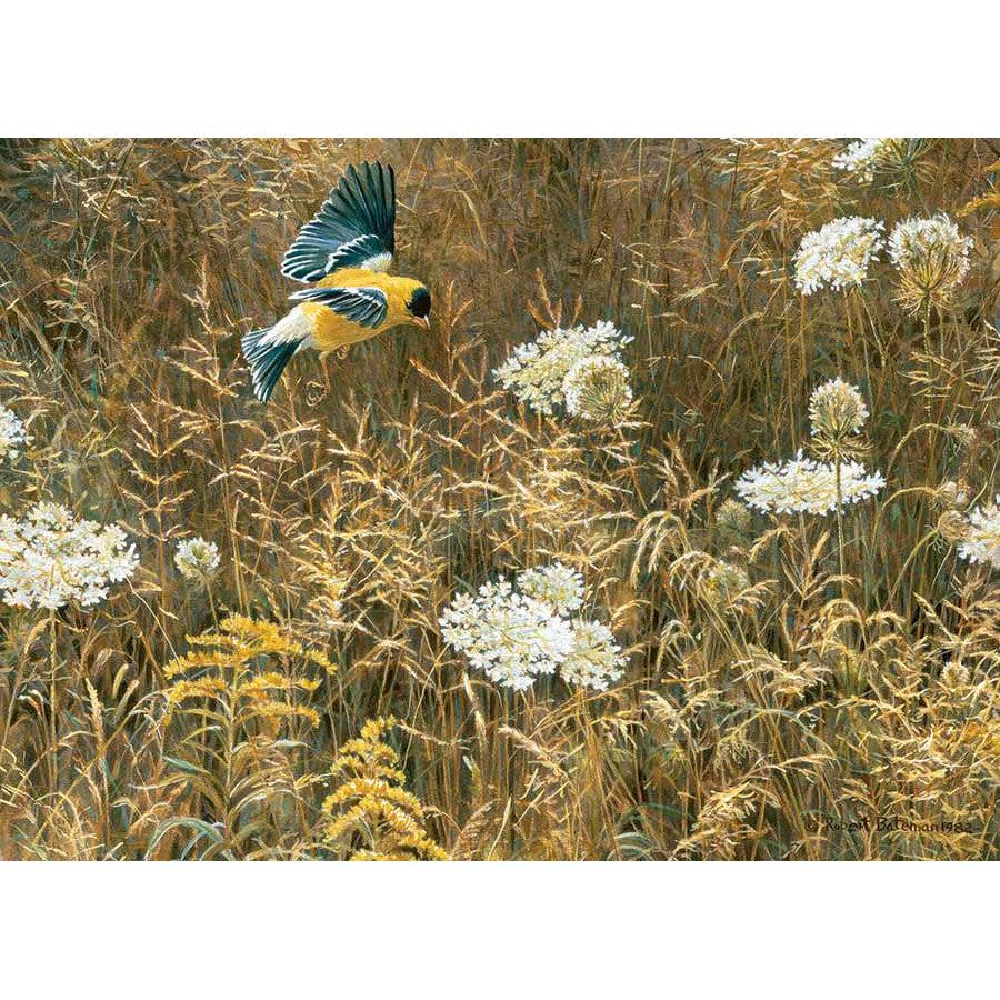 Queen Anne's Lace & American Goldfinch 500 Piece Jigsaw Puzzle Cobble Hill (ONLINE ORDER ONLY)