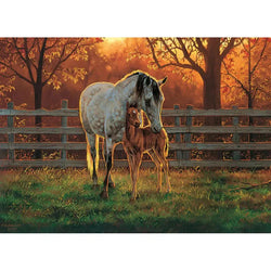 Quiet Time 500 Piece Jigsaw Puzzle Cobble Hill (ONLINE ORDER ONLY)