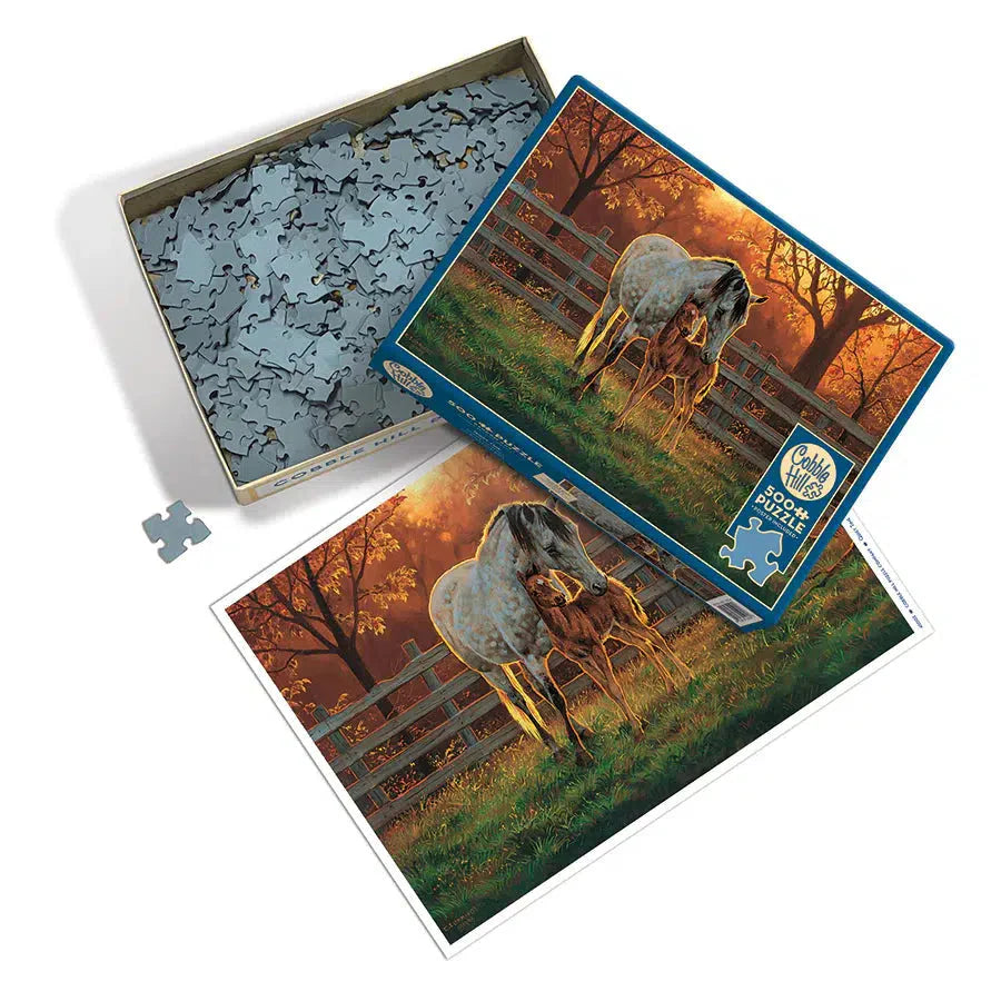 Quiet Time 500 Piece Jigsaw Puzzle Cobble Hill (ONLINE ORDER ONLY)
