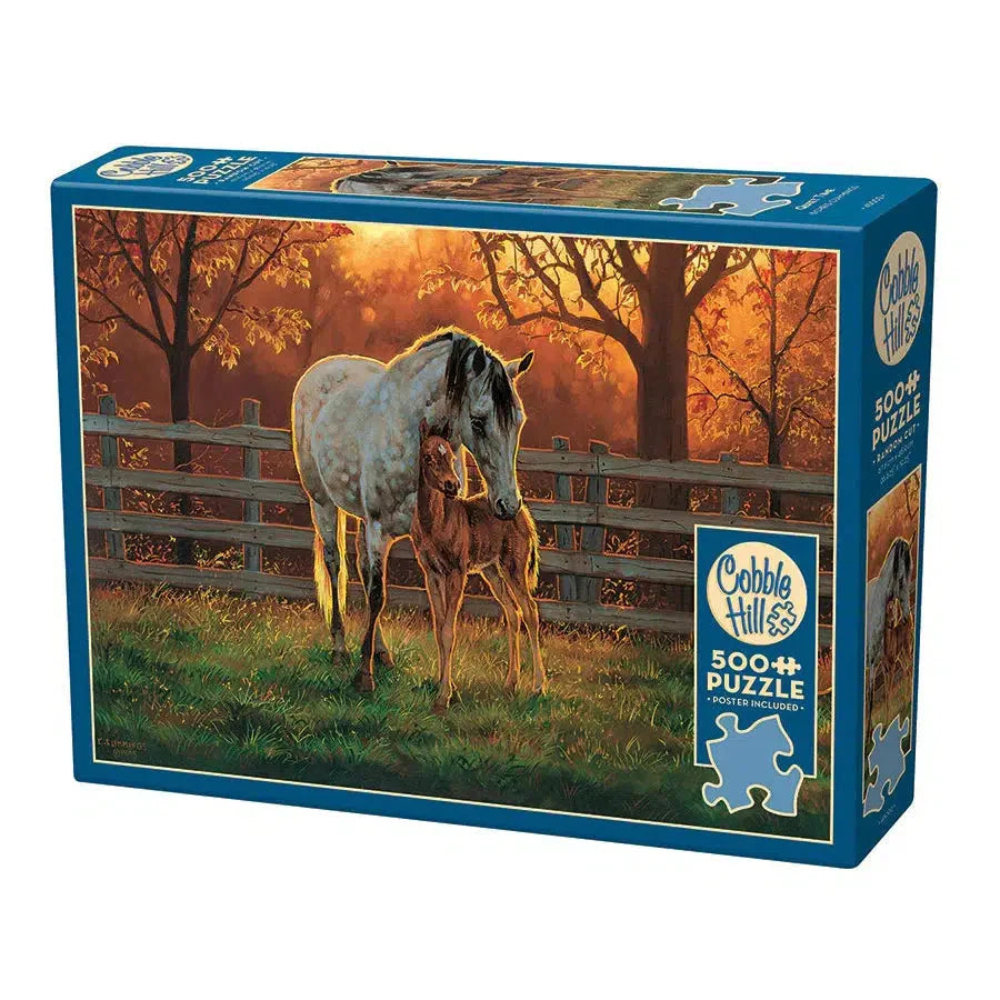 Quiet Time 500 Piece Jigsaw Puzzle Cobble Hill (ONLINE ORDER ONLY)