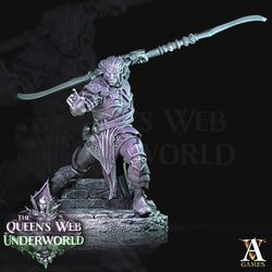 3D Printed Archvillain Games Dark Elves Melee The Queen's Web Underworld 28 32mm D&D (Online Only)