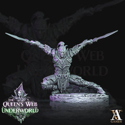 3D Printed Archvillain Games Dark Elves Melee The Queen's Web Underworld 28 32mm D&D (Online Only)