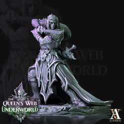 3D Printed Archvillain Games Dark Elves Melee The Queen's Web Underworld 28 32mm D&D (Online Only)