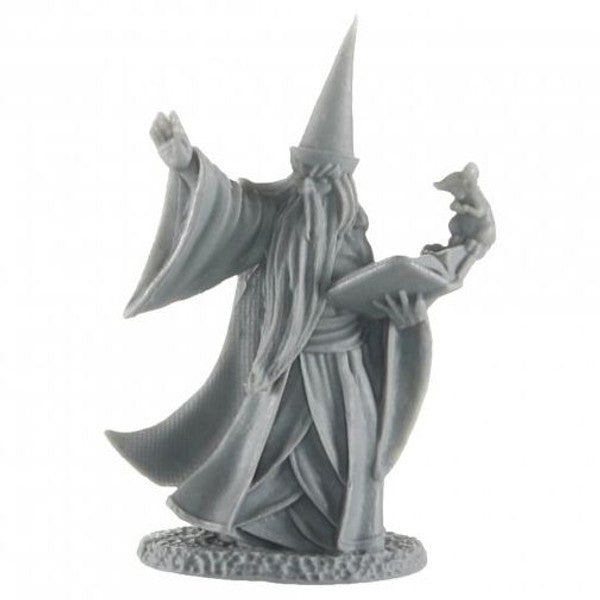 Reaper Legends: Darius the Wizard (ONLINE ORDER ONLY)