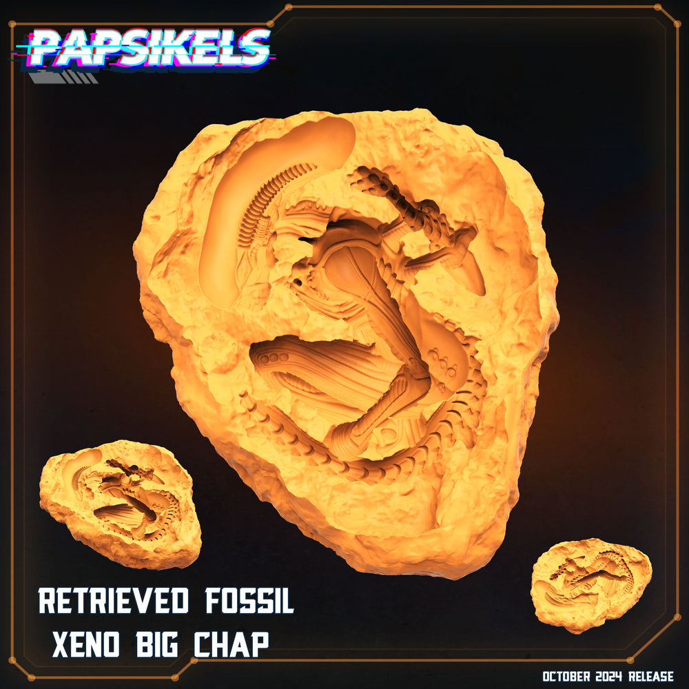 3D Printed Papsikels Retrieved Fossil Xeno Big Chap October 2024 SciFi 28mm 32mm (Online Only)