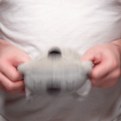 TeeTurtle Reversible Koala: Gray (Mini) (ONLINE ORDER ONLY)