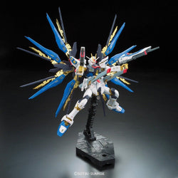 Bandai Hobby: Gundam SEED Destiny - RG 1/144 Strike Freedom Gundam #14 Model Kit (ONLINE ORDER ONLY)