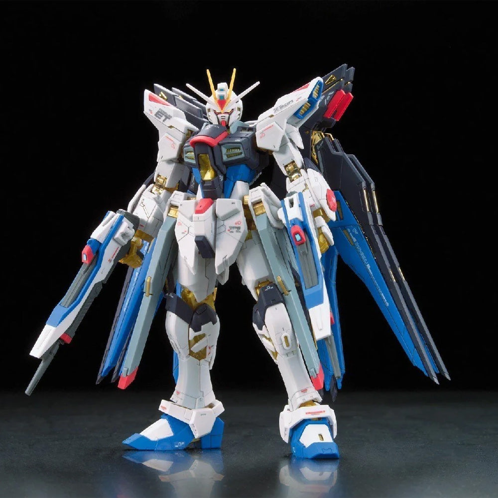 Bandai Hobby: Gundam SEED Destiny - RG 1/144 Strike Freedom Gundam #14 Model Kit (ONLINE ORDER ONLY)