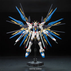 Bandai Hobby: Gundam SEED Destiny - RG 1/144 Strike Freedom Gundam #14 Model Kit (ONLINE ORDER ONLY)